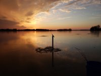 20220116_172629.jpg