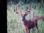 IMG952013090395144930.jpg