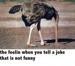 ImageUploadedByTapatalk1379559653.309654.jpg