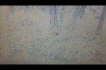 ImageUploadedByTapatalk1380503535.743366.jpg