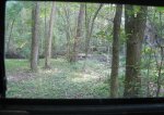 Img_1119.jpg
