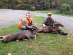 strouds deer.jpg