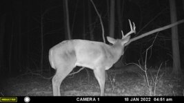 Half Rack 3.JPG