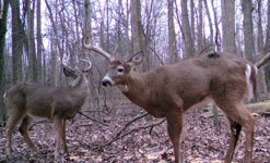 Half Rack 16.JPG