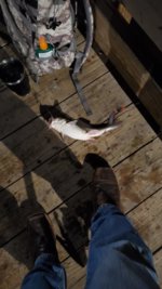 20220528_223948.jpg
