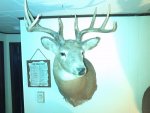 IMG_20131023_181137.jpg