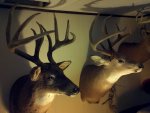 IMG_20131023_181106.jpg