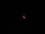 Concord-20131024-01107.jpg