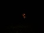 Concord-20131024-01108.jpg