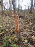 20131102_130846.jpg