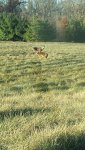 20131114_162625_2.jpg