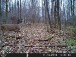 HUNT0283.jpg
