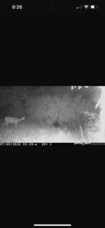 01D896AF-BEDD-40CF-9B07-4C6F6DD14C3D.png