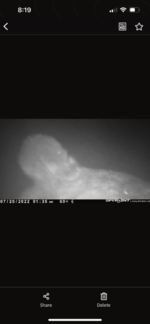 53D766E8-08B3-4981-B46E-DAA781C853ED.png