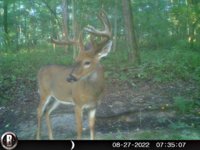 HUNT1491.JPG
