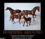 -stable-.jpg