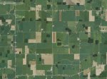 Woods Overall Area.jpg
