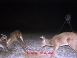 MDGC0027.jpg
