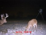 MDGC0001.jpg