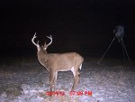 MDGC0010.jpg