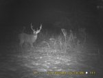 deer 12-22-13 090.jpg