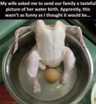 ImageUploadedByTapatalk1388286941.176512.jpg