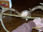 BUCK CONTEST PICS 003.jpg