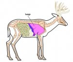 ImageUploadedByTapatalk1388543807.458415.jpg