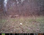 IMG_125426444656993.jpeg