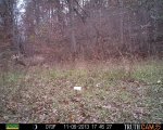 IMG_125406640323101.jpeg