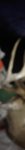 ImageUploadedByTapatalk1389065152.677034.jpg