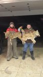 David's Yotes.jpg
