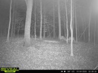 d57ebcaa-2d59-4157-9ec6-a87ac680c64d.jpg
