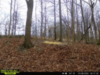20230106_101442.gif