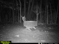 20230106_182654.gif