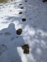 PXL_20230303_162946899.jpg