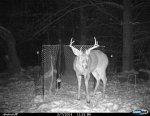 Cdy00311.jpg