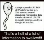 ImageUploadedByTapatalk1393985084.077682.jpg