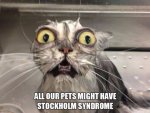 ImageUploadedByTapatalk1394919230.646646.jpg