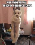 ImageUploadedByTapatalk1394932892.084739.jpg