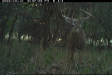 CurtMcCarty-Timber-1200x800.jpg