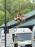 IMG_2074.jpeg