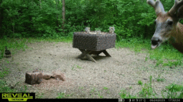 20230524_183048.gif