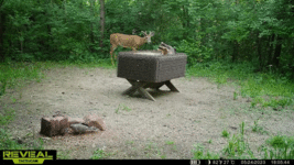 20230524_185328.gif