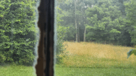 20230628_080539.gif