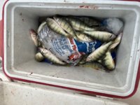IMG_1623.jpeg