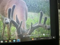 IMG_1658.jpeg