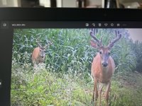 IMG_1657.jpeg
