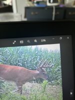 IMG_1654.jpeg