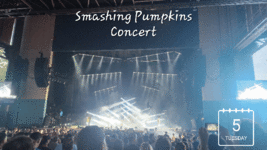 20230905_230314.gif